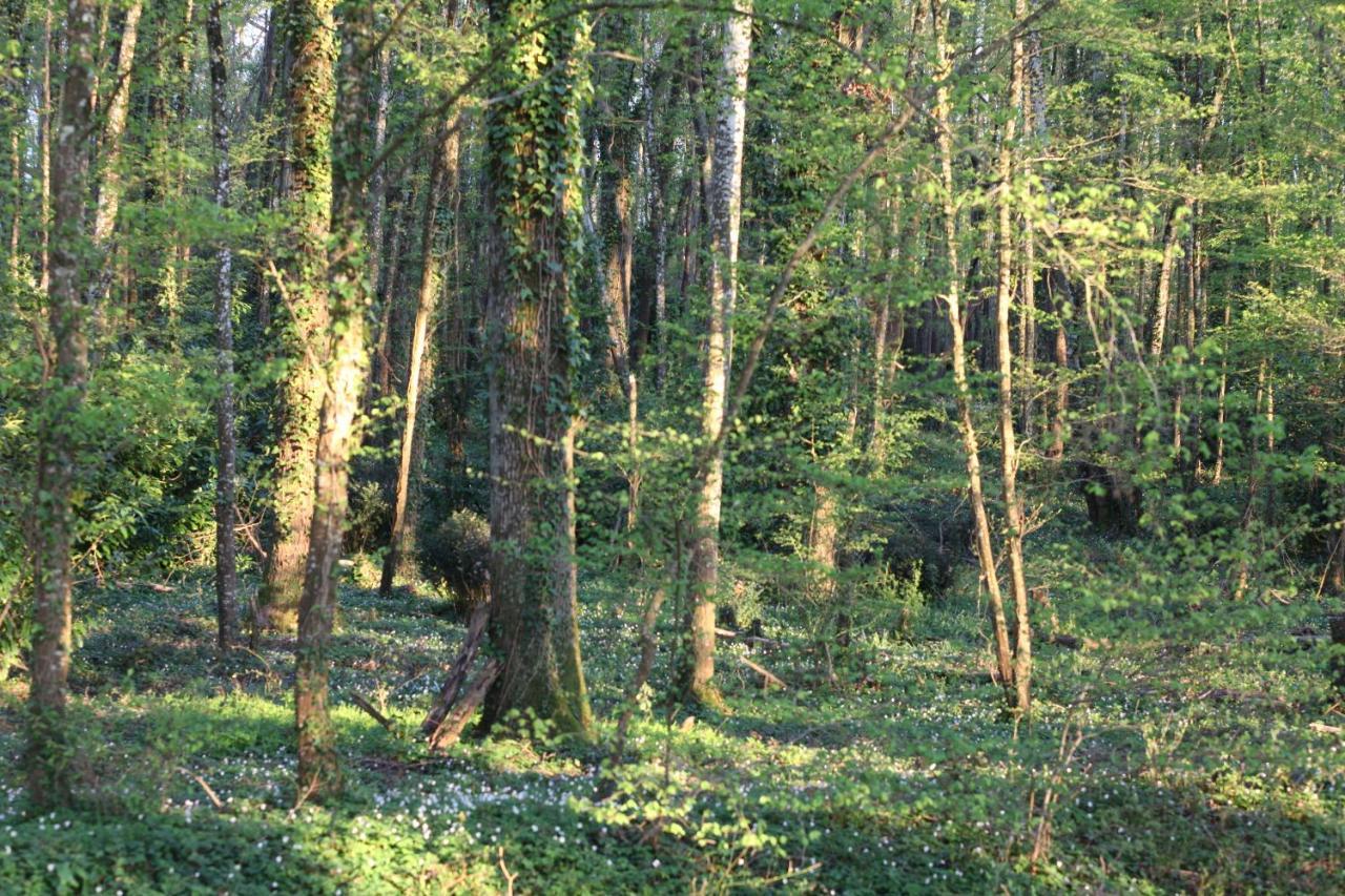 Fleurs De Brenne Gite Neuillé-le-Lierre Buitenkant foto