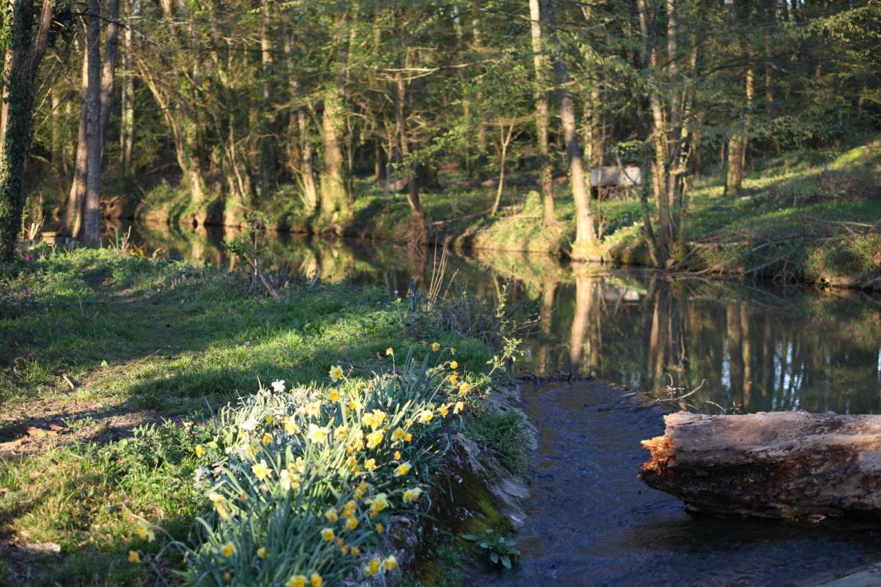 Fleurs De Brenne Gite Neuillé-le-Lierre Buitenkant foto