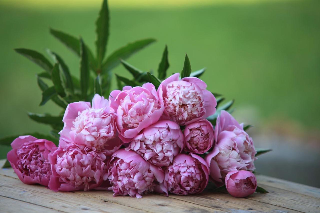 Fleurs De Brenne Gite Neuillé-le-Lierre Buitenkant foto