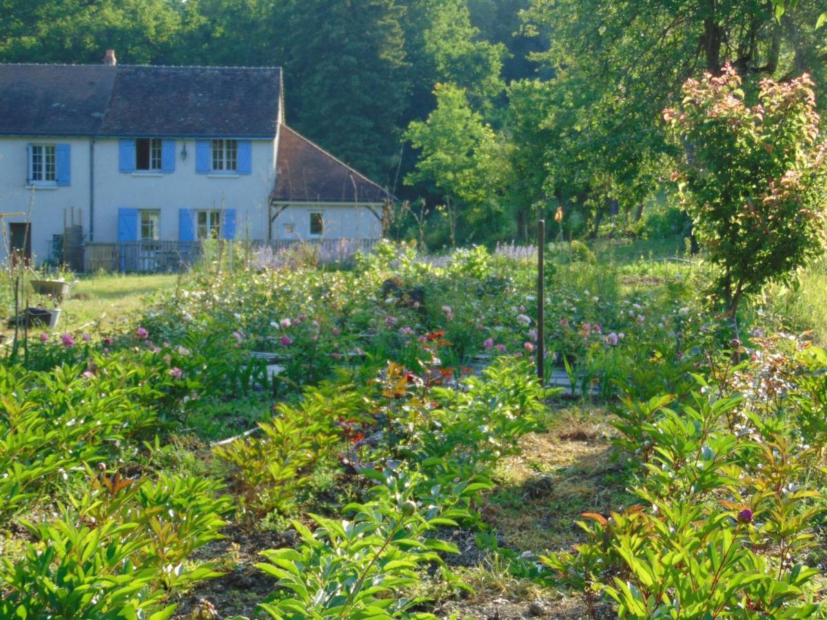 Fleurs De Brenne Gite Neuillé-le-Lierre Buitenkant foto